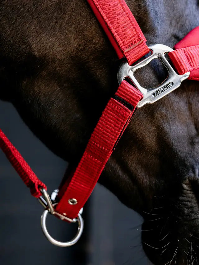 Indlæs billede i Gallery Viewer, LM(F) CORE Breakaway Vogue Headcollar Chilli
