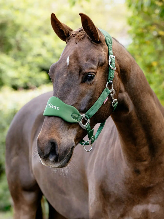 LM Breakaway Vogue Headcollar Huntergreen