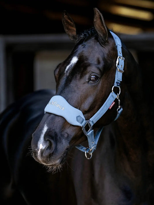 LM Breakaway Vogue Headcollar Iceblue