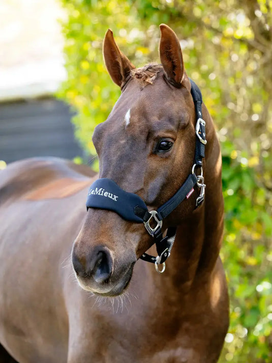 LM Breakaway Vogue Headcollar Black