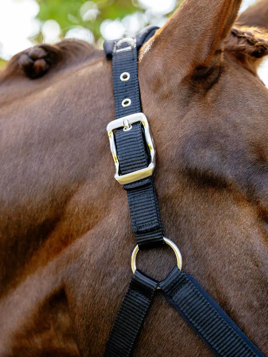 LM Breakaway Vogue Headcollar Black