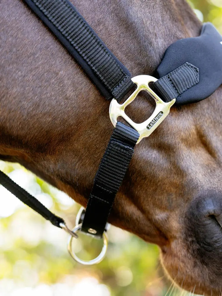 Indlæs billede i Gallery Viewer, LM Breakaway Vogue Headcollar Black

