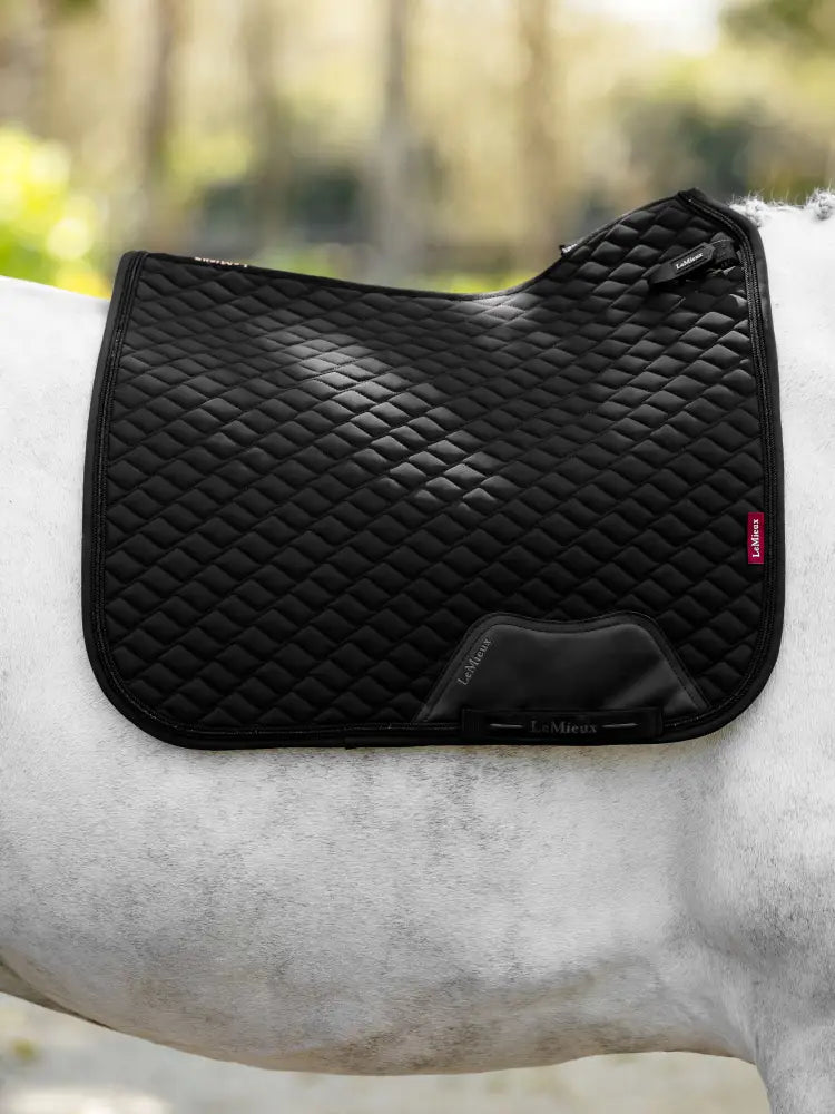 Indlæs billede i Gallery Viewer, LM Brilliance Dressage Square
