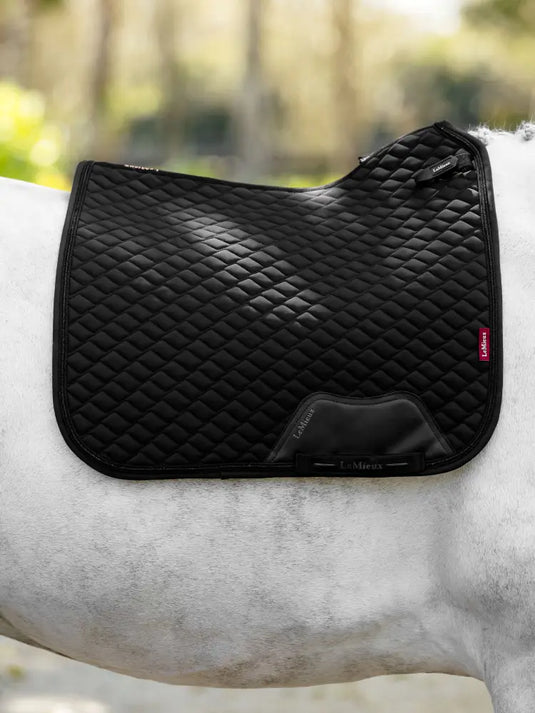 LM Brilliance Dressage Square