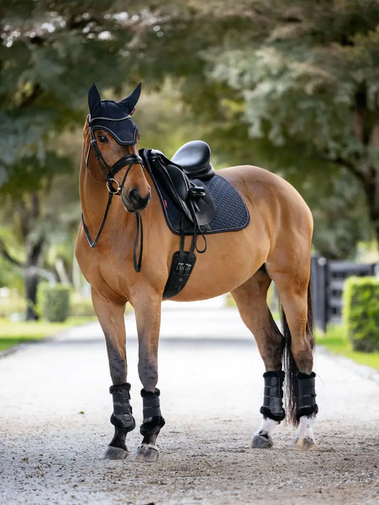 LM Brilliance Dressage Square