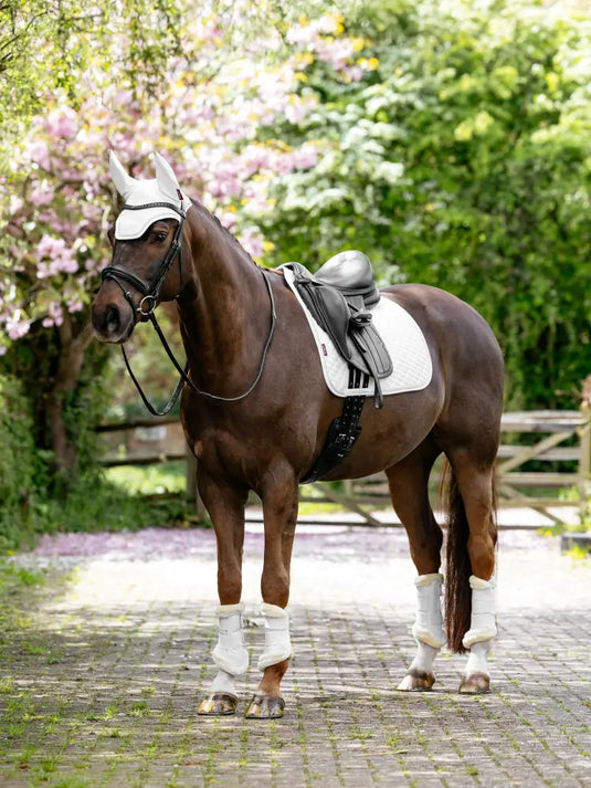 LM Brilliance Dressage Square