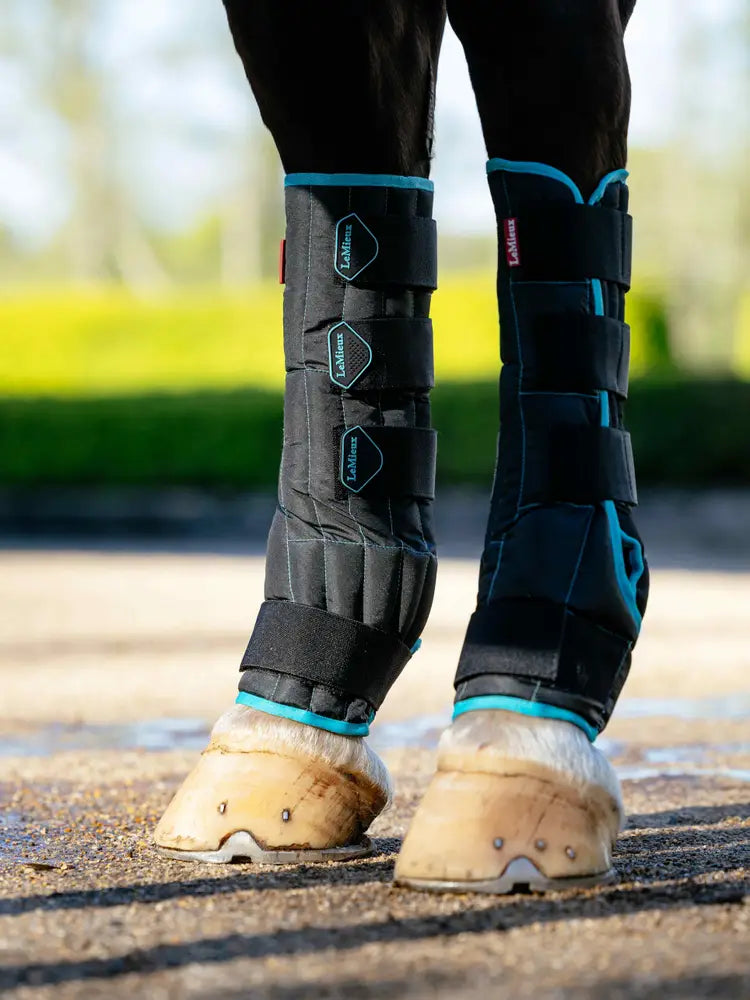 Indlæs billede i Gallery Viewer, LeMieux Crystal Cool Boots
