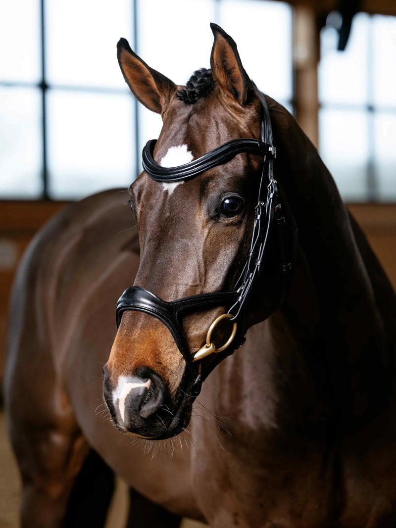 Indlæs billede i Gallery Viewer, LM CORE Kudos Sport Bridle, Black-Silver
