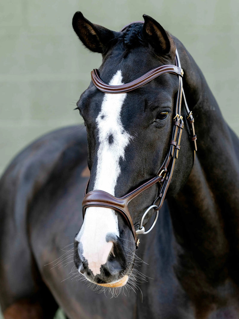 Indlæs billede i Gallery Viewer, LM Kudos Sport Bridle, Havanna-Brass
