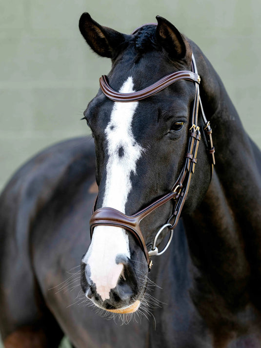 LM Kudos Sport Bridle, Havanna-Brass