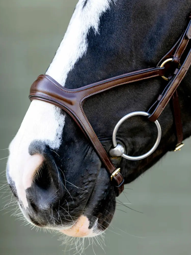 Indlæs billede i Gallery Viewer, LM Kudos Sport Bridle, Havanna-Brass
