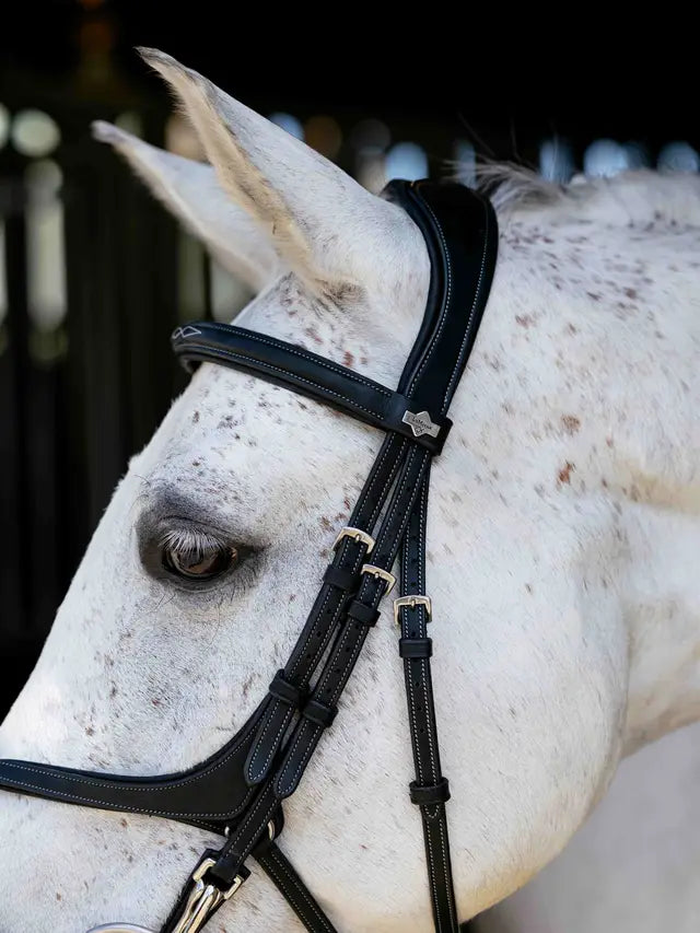 Indlæs billede i Gallery Viewer, LM(F) CORE Kudos Grackle Work Bridle Black
