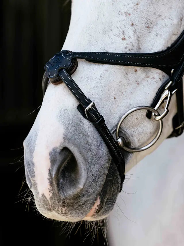 Indlæs billede i Gallery Viewer, LM(F) CORE Kudos Grackle Work Bridle Black
