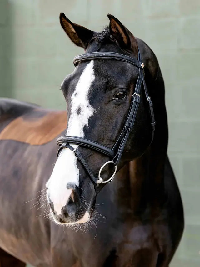 Indlæs billede i Gallery Viewer, LM(F) CORE Arika Classique Flash Bridle Black
