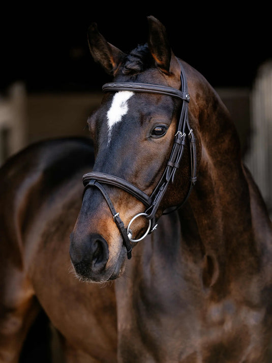LM(F) CORE Arika Classique Flash Bridle Brown