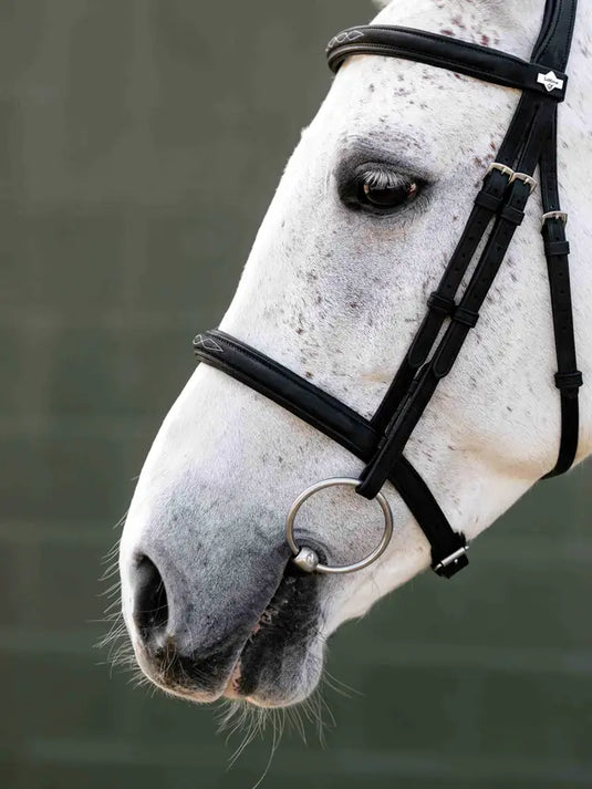 LM(F) CORE Arika Classique Cavesson Bridle Black