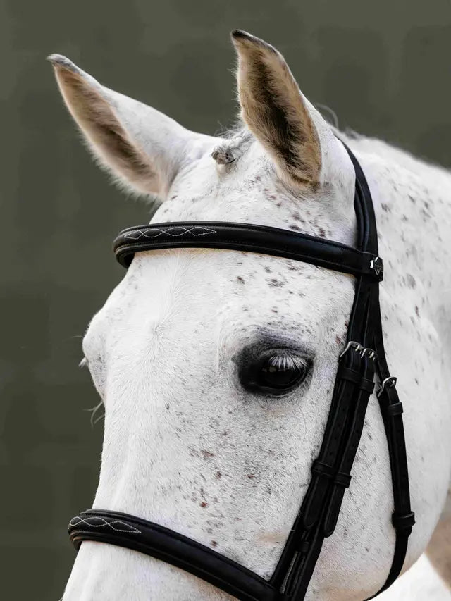 Indlæs billede i Gallery Viewer, LM(F) CORE Arika Classique Cavesson Bridle Black
