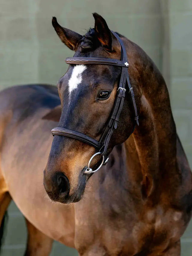Indlæs billede i Gallery Viewer, LM(F) CORE Arika Classique Cavesson Bridle Brown
