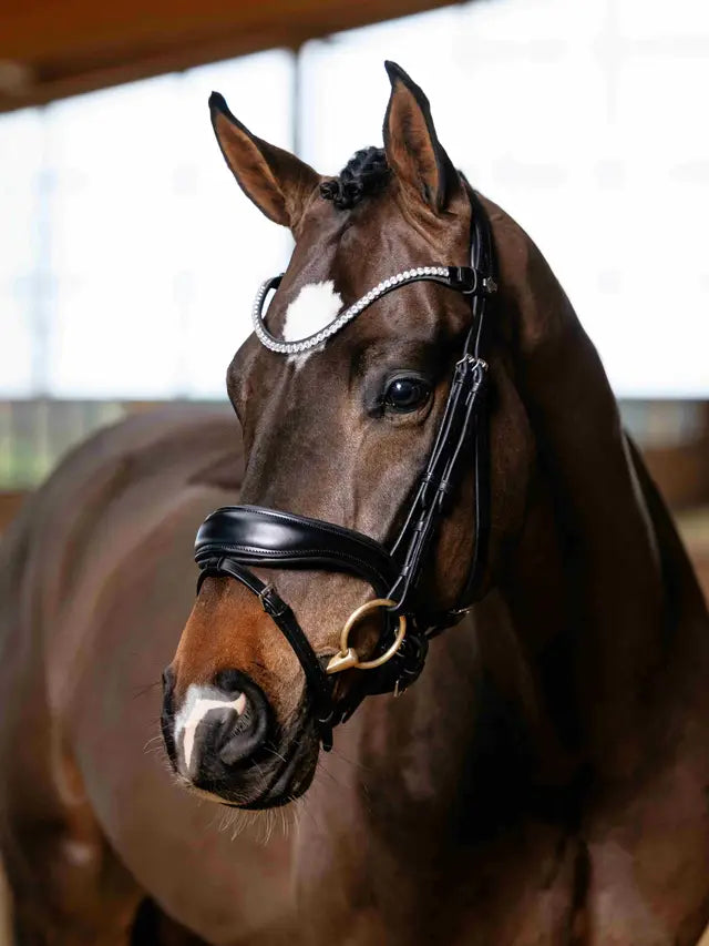 Indlæs billede i Gallery Viewer, LM(F) CORE Kudos Anatomic Dressage Bridle Black
