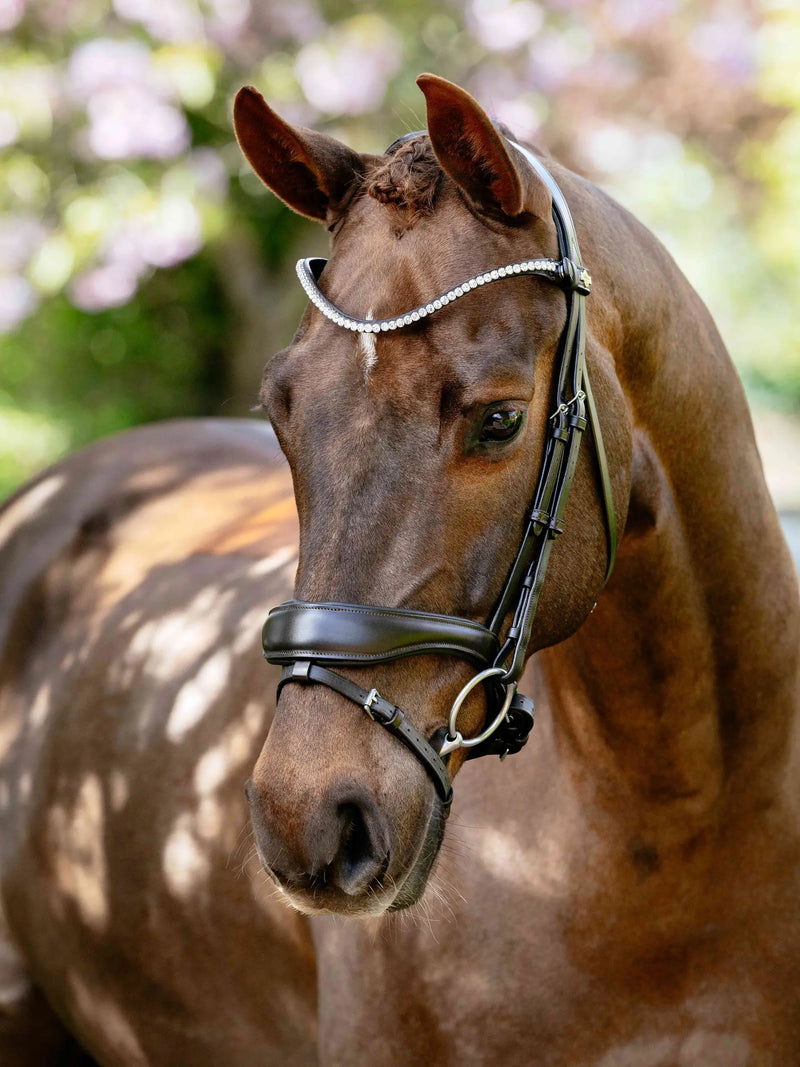 Indlæs billede i Gallery Viewer, LM(F) CORE Kudos Anatomic Dressage Bridle Brown
