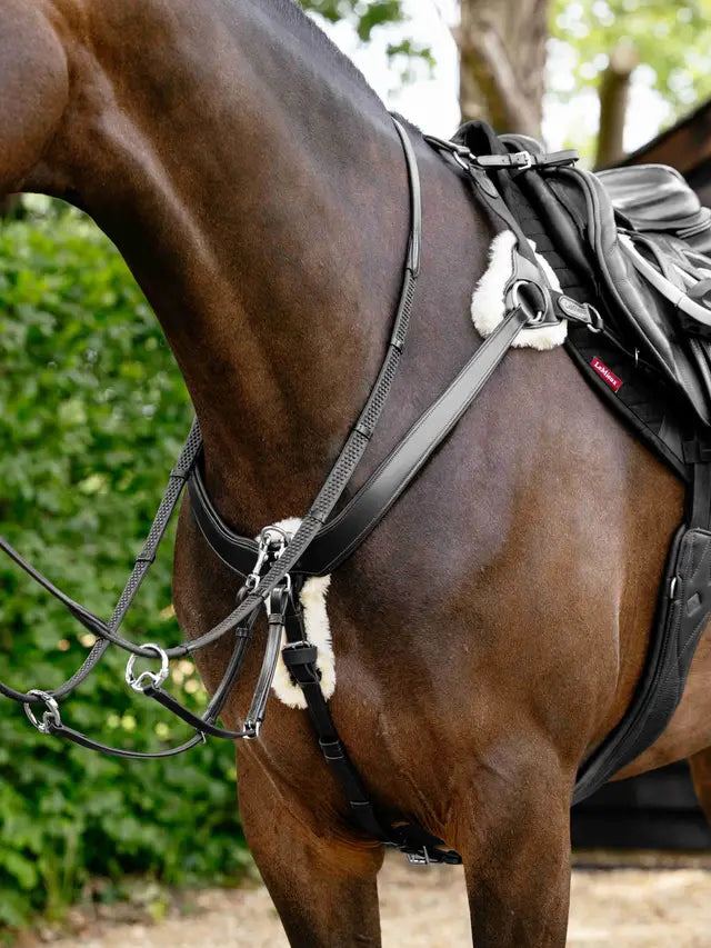 Indlæs billede i Gallery Viewer, LM(F) CORE Kudos 5 Point Bridge Breastplate
