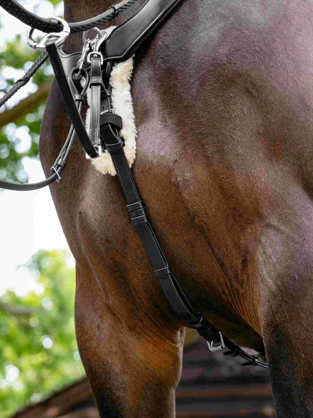 Indlæs billede i Gallery Viewer, LM(F) CORE Kudos 5 Point Bridge Breastplate
