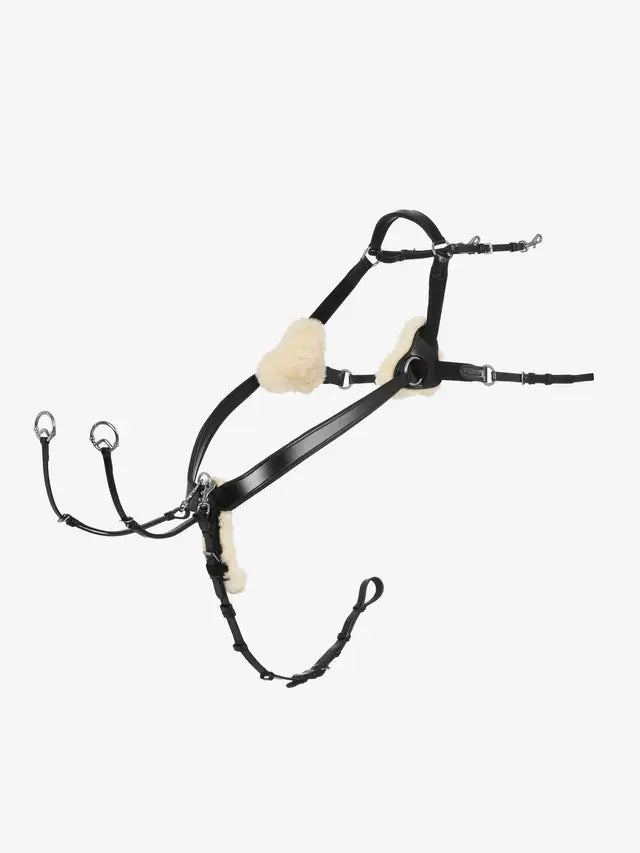 Indlæs billede i Gallery Viewer, LM(F) CORE Kudos 5 Point Bridge Breastplate

