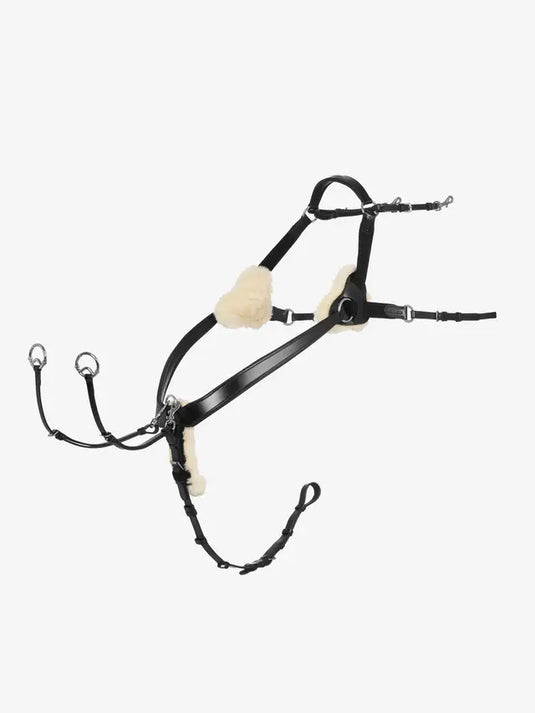 LM(F) CORE Kudos 5 Point Bridge Breastplate