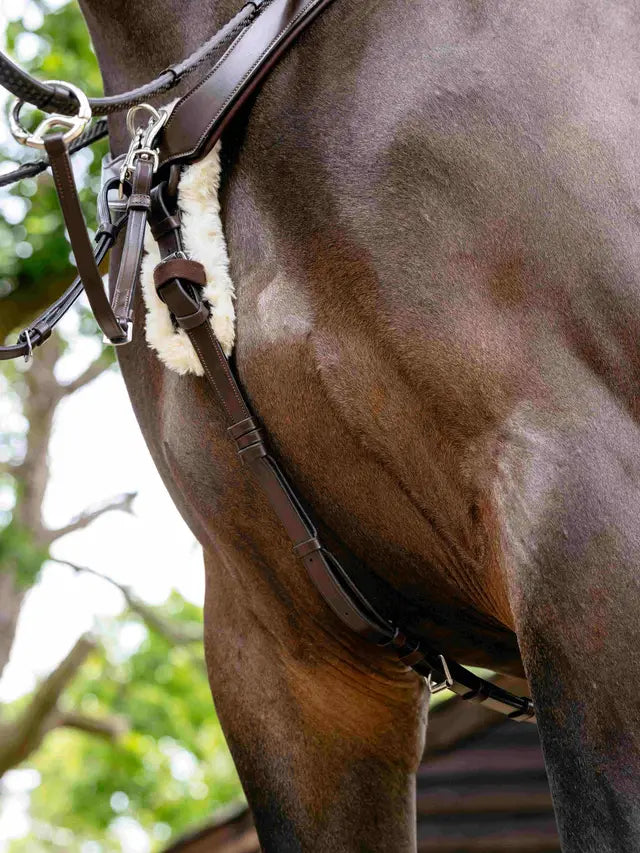 Indlæs billede i Gallery Viewer, LM(F) CORE Kudos 5 Point Bridge Breastplate
