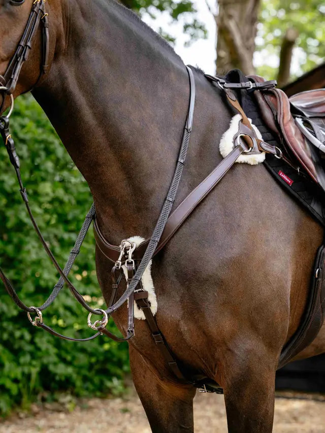 Indlæs billede i Gallery Viewer, LM(F) CORE Kudos 5 Point Bridge Breastplate
