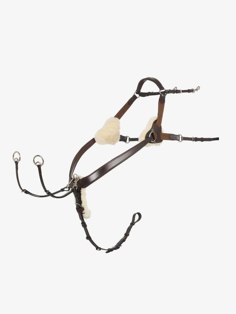 Indlæs billede i Gallery Viewer, LM(F) CORE Kudos 5 Point Bridge Breastplate
