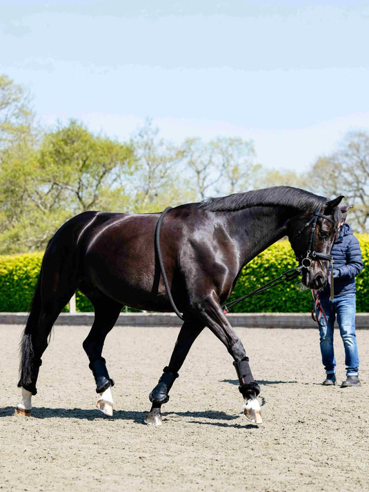 LM Rope Lunging Aid Black