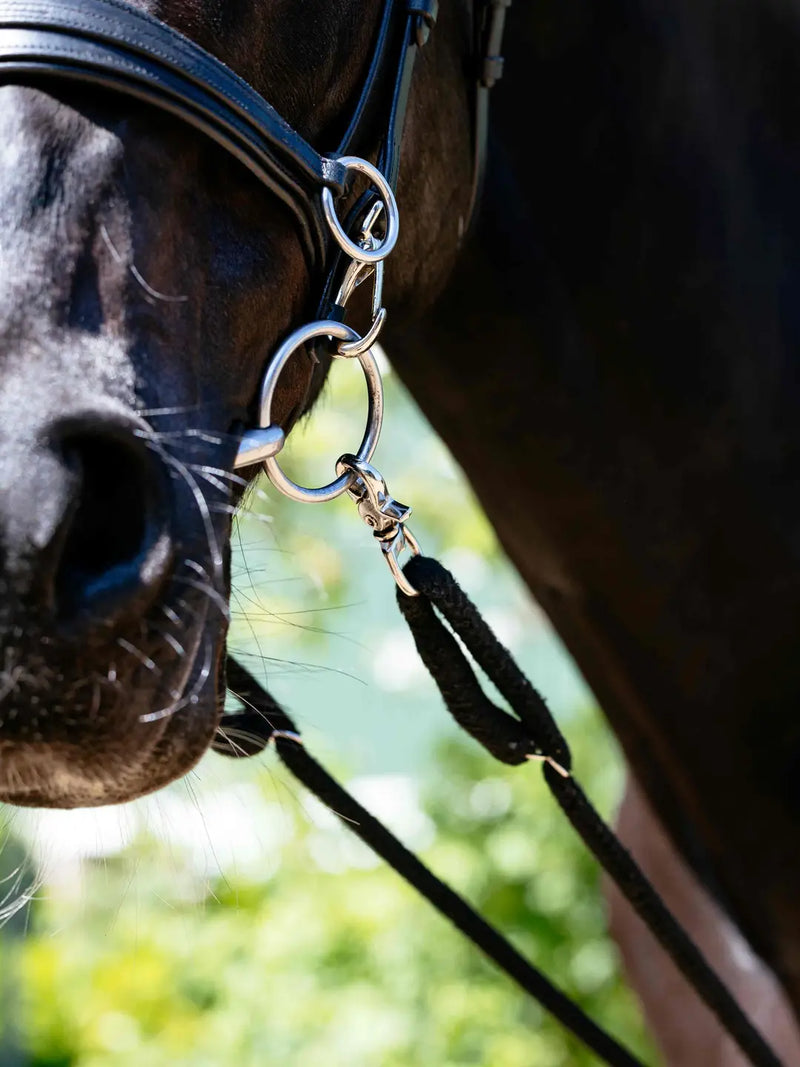 Indlæs billede i Gallery Viewer, LM Rope Lunging Aid Black
