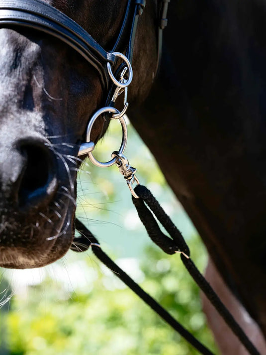 LM Rope Lunging Aid Black