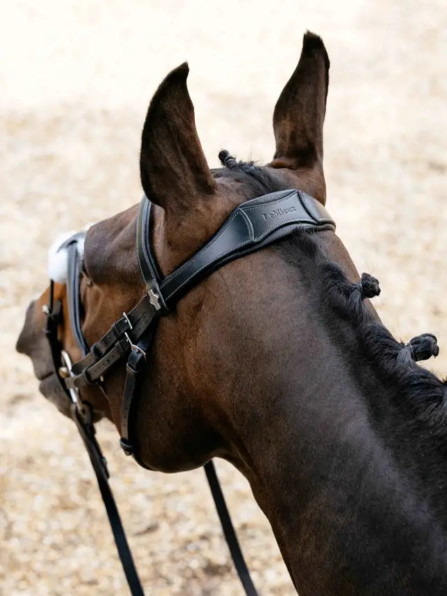 Indlæs billede i Gallery Viewer, LM(F) CORE Arika Grackle Bridle Black/Silver
