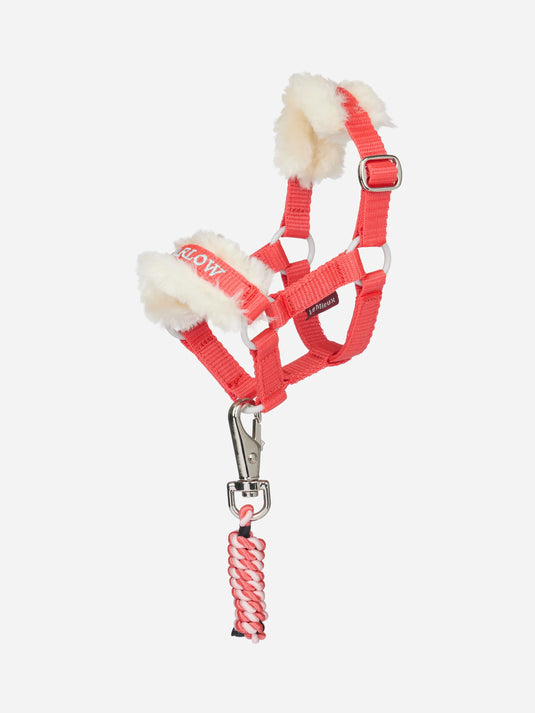 LeMieux Harlow Toy Pony Headcollar & Leadrope Coral Crush