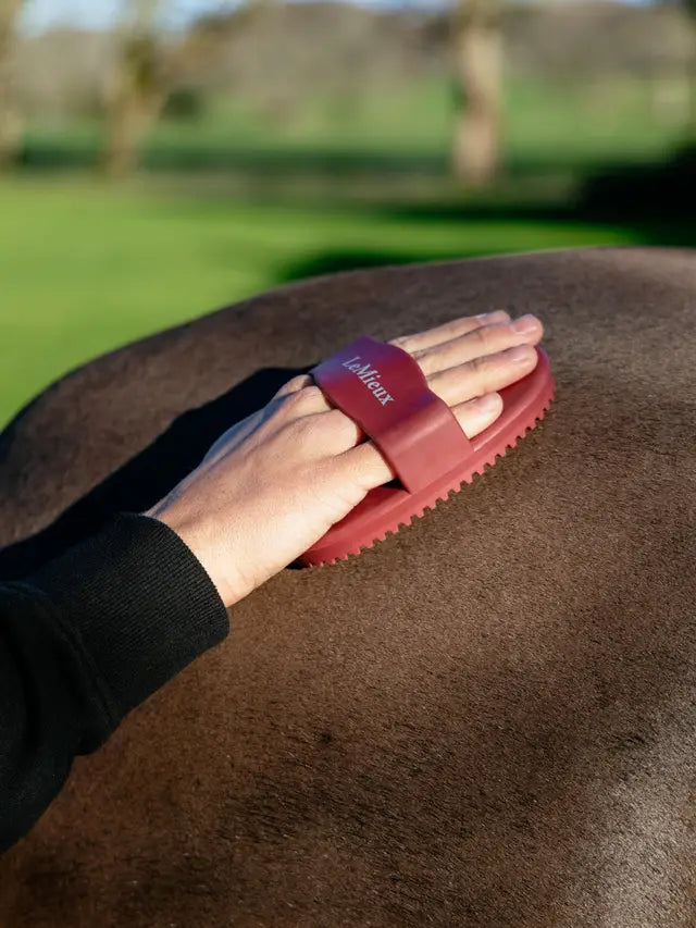 Indlæs billede i Gallery Viewer, LM Rubber Curry Comb Red
