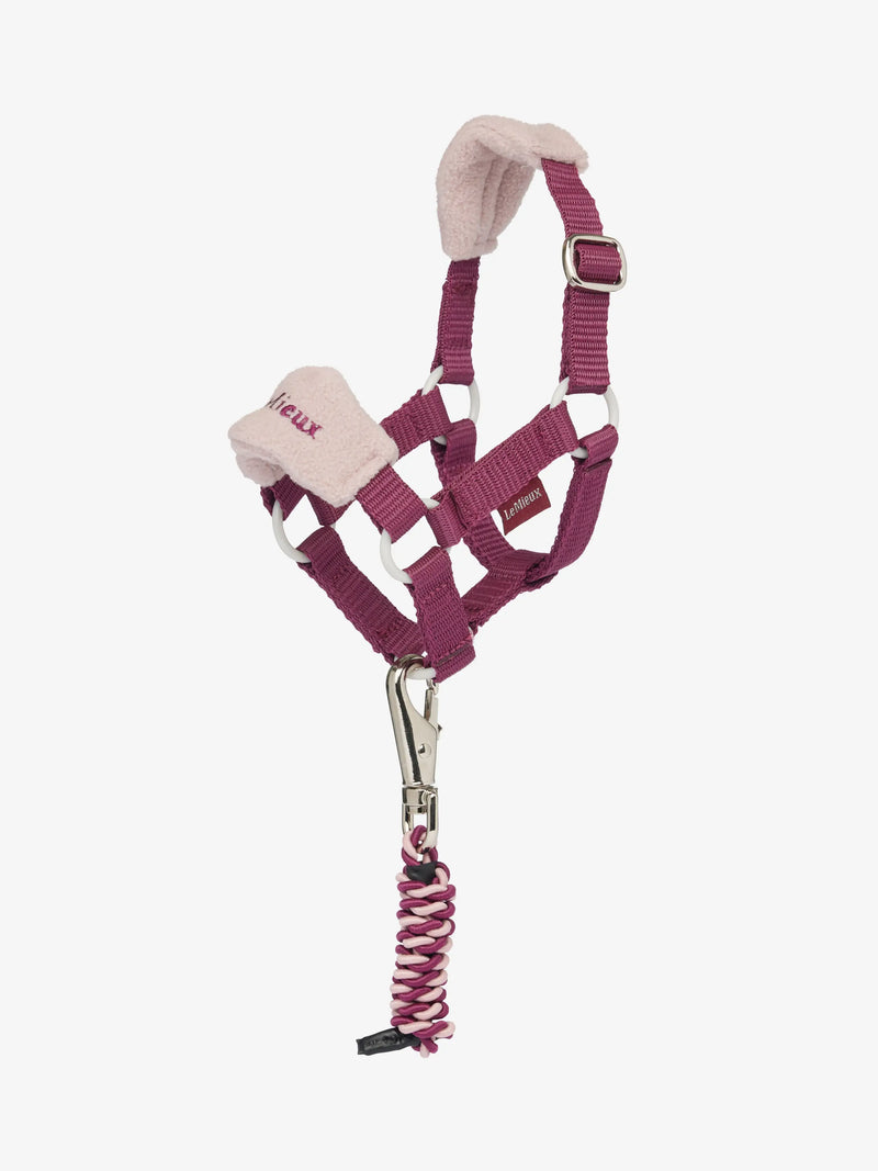 Indlæs billede i Gallery Viewer, Toy Pony Vogue Headcollar &amp; Leadrope Blackberry
