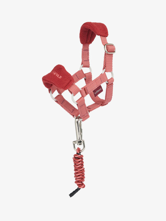Toy Pony Vogue Headcollar & Leadrope Spiced Earth