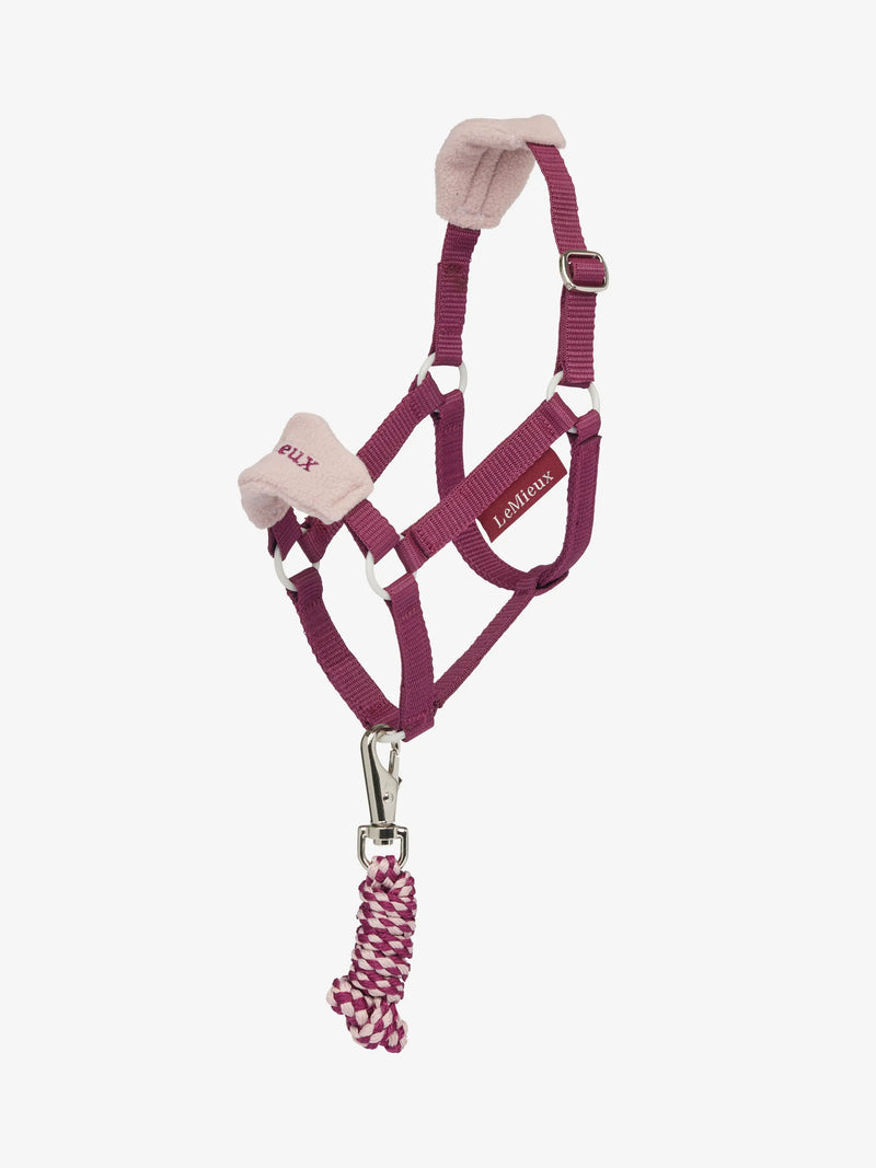 Indlæs billede i Gallery Viewer, LM Hobby Horse Vogue Headcollar &amp; Leadrope Blackberry
