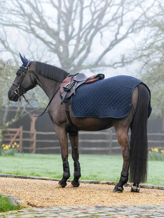 LM Arika Clima-Tek Quarter Sheet Navy