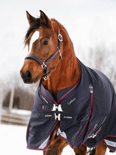 LM Kudos Turnout Rug 200g Navy