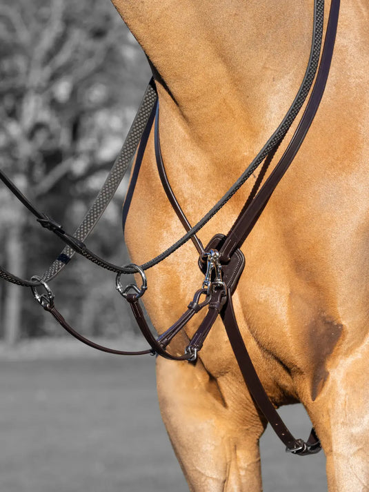 LM Kudos Running Martingale Brown/Silver