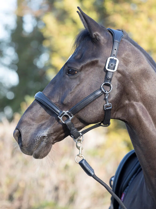 LM Anatomic Headcollar Black