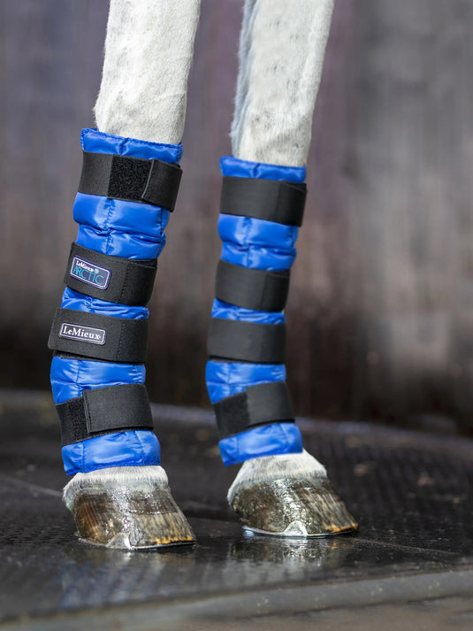 LM(F) CORE Arctic Ice Boots Blue