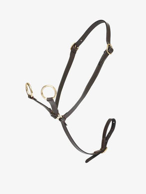 LM Toy Pony Martingale Brown