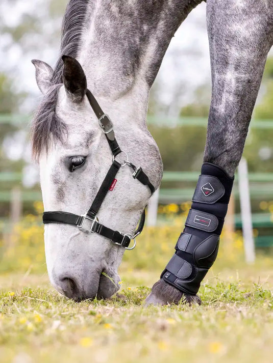 LM(F) CORE Break Away Headcollar Black