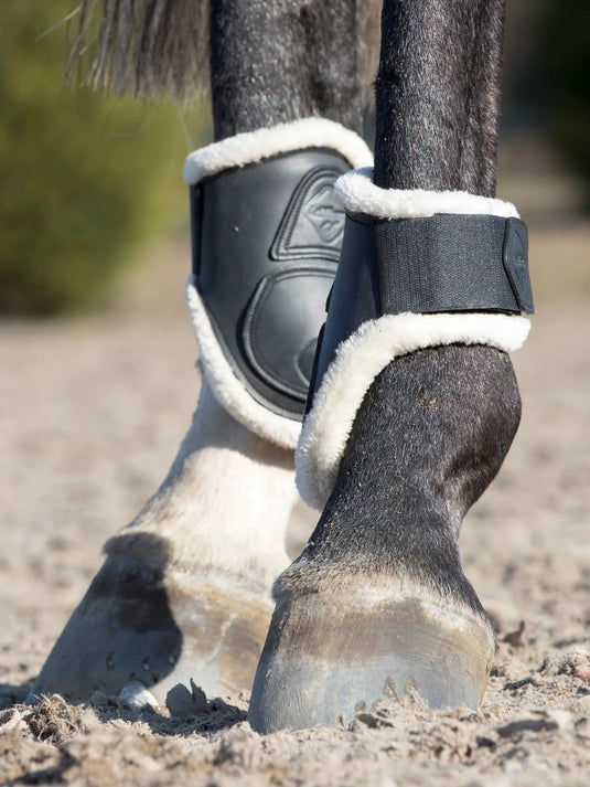 LM(F) CORE Capella Comfort Fetlock Boots Black