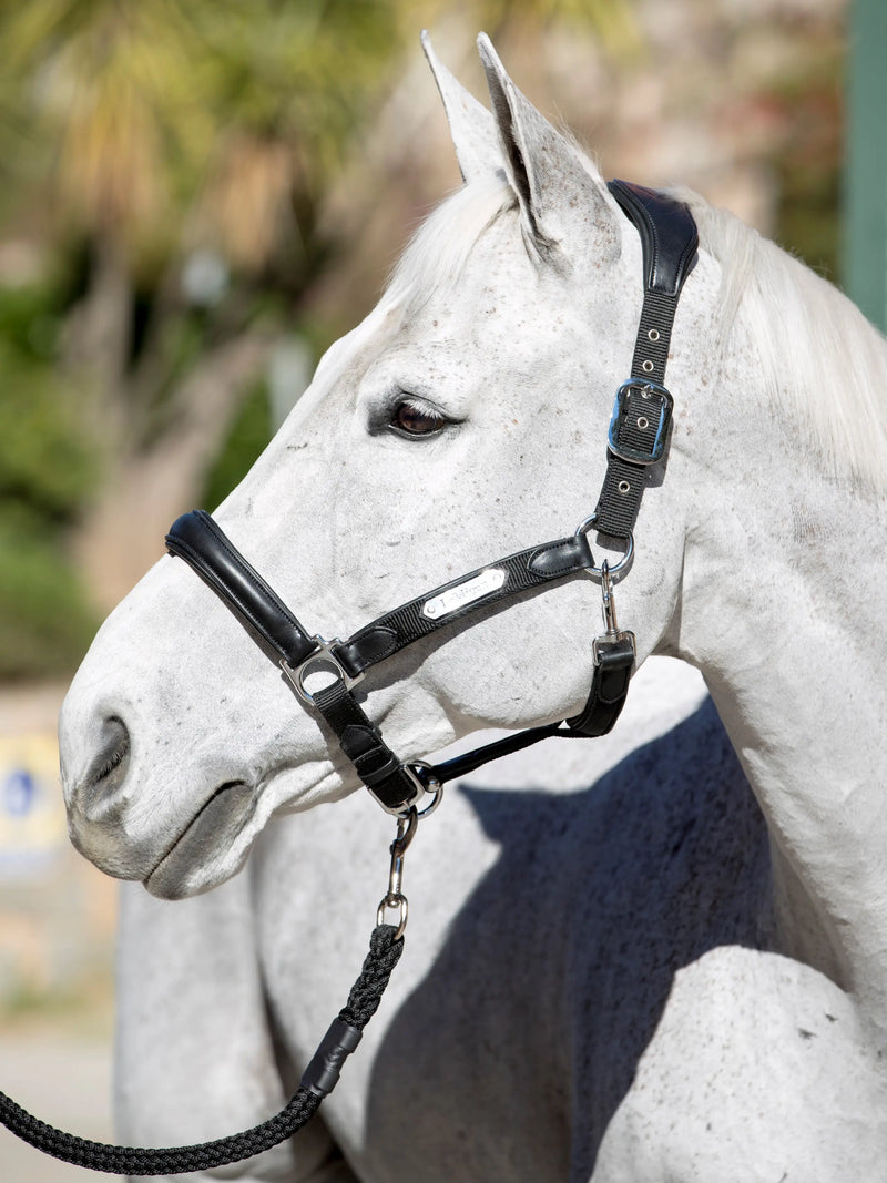 Indlæs billede i Gallery Viewer, LM Capella Headcollar Black
