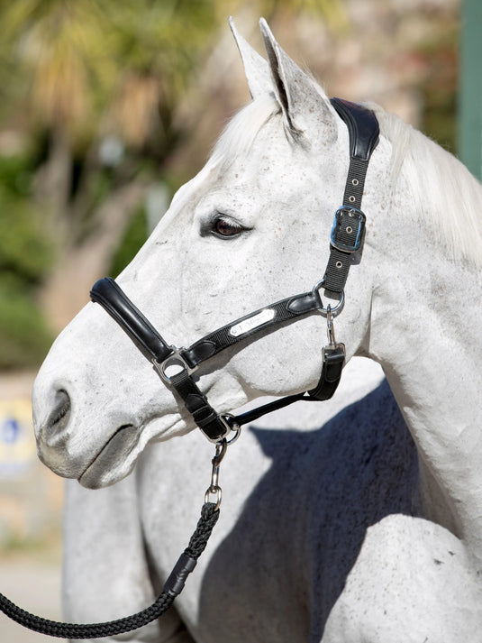 LM Capella Headcollar Black
